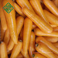 свежие конкурентоспособная цена морковь оптом морковь в хорошем качестве